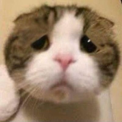 Milk_daa_RUST's profile picture. rust GG