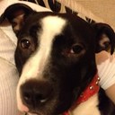 charlene watson - @ccharlenewatson - Twitter