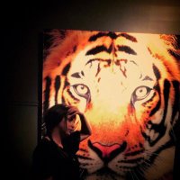 Asrar (@asasraralhazza) 's Twitter Profile