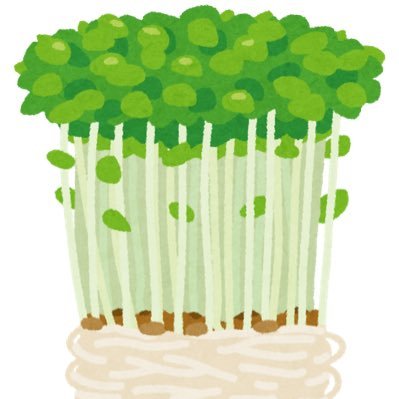 豆🌱苗さんのプロフィール画像