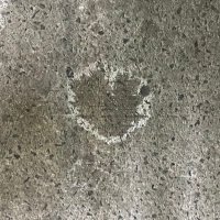 Cyph (@d1gitaldev1l) 's Twitter Profile