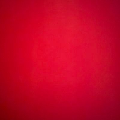 Revisedper4819's profile picture. 