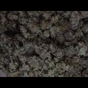 truebubbakush - @AlanMike36 - Twitter
