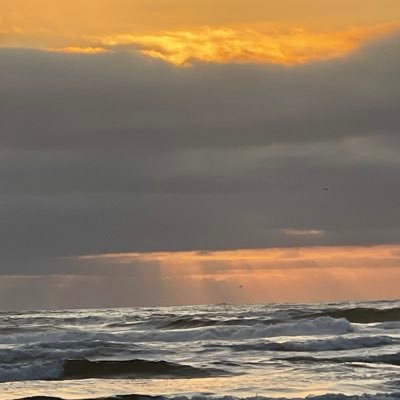 DeeMacfor47's profile picture. 