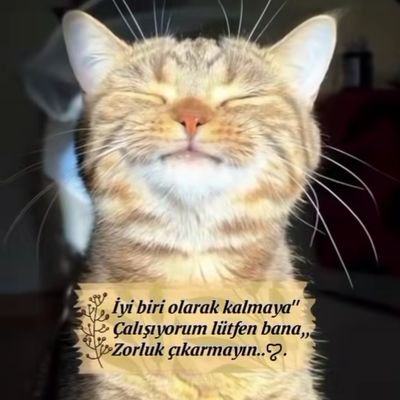 Müslüman -Vatan Sever- Dikab Öğretmeni-Yazar-Okur-Geri Dönüşüm -Kedi Sever- Boş Duramaz...