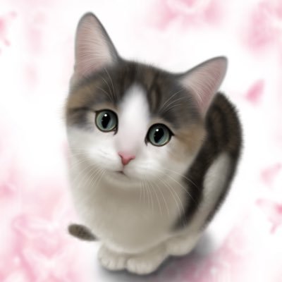 鷹さんのプロフィール画像