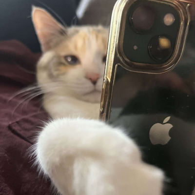 ElGranBrunox2's profile picture. New acc of @ElGranBruno1, i like a bunch of things, i'm 20 and i follow NSFW sooo no minors!, My discord: bbrunonomula