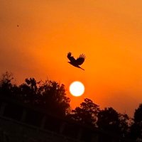 صهيب بح🪐ر (@suhaibnasser2) 's Twitter Profile Photo
