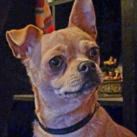 Ollalie070707 (@ftrybe7) 's Twitter Profile