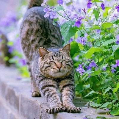 Abcd13026918's profile picture. 😜