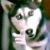 J.ohn E.dward B.ennet (@mericanwatrmeln) Twitter profile photo J.ohn E.dward B.ennet (@mericanwatrmeln) Twitter profile photo
