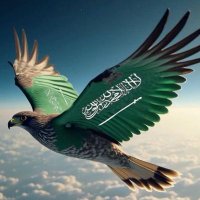 الهلال وطني (الثاني) (@aade511) 's Twitter Profile