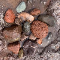 Sarah Stefanich (@sstefanich53214) 's Twitter Profile