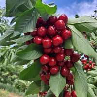 Farmer’s Feed The World (@cherida37109250) 's Twitter Profile