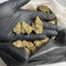 OG Budz (@ogbud_420) Twitter profile photo OG Budz (@ogbud_420) Twitter profile photo