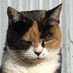 えろねこ🔞 (@gcwsflwvzq91814) Twitter profile photo えろねこ🔞 (@gcwsflwvzq91814) Twitter profile photo