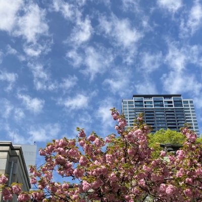 sari34306804's profile picture. 大阪市路上、公園、広場が2025年1月27日から路上禁煙になりました。
大阪市路上喫煙コールセンター　06-7730-8246

大阪府条例で、喫煙できる飲食店の要件もかなり厳しくなっています。

日本国内から、また、海外から来られる方のために、大阪市内の禁煙情報（禁煙の飲食店）をお伝えしていきたいと思います。