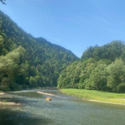 alfieswfc4's profile picture. 