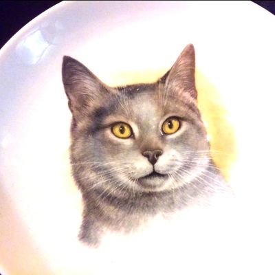 スタ★レビファンです。
行かれなくなったチケットのお譲り先探しきっかけにアカウント持ちました。あんまりつぶやけませんが、よろしくお願いします。