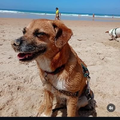 Rok855475's profile picture. 