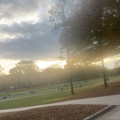 puddle_deep's profile picture. He/Him - Neurodivergent - 31 - Speculative Fiction Fan #TransRightsAreHumanRights #FreePalestine #M4ANow