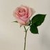 تاج الفراتي (@tajj_foraty) Twitter profile photo تاج الفراتي (@tajj_foraty) Twitter profile photo