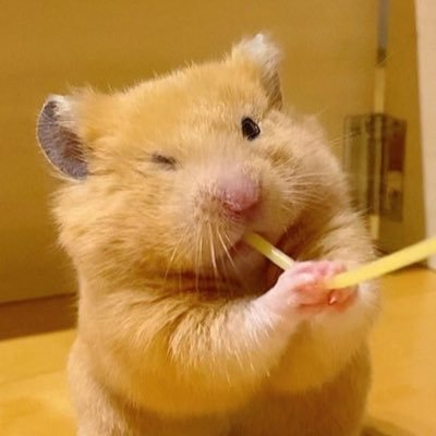 yappi_10k's profile picture. 터치드에 인생거는거야~ 함해보는거야~