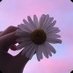 مَــرْيَـــمُ🪷 (@mariam_hamadi84) Twitter profile photo مَــرْيَـــمُ🪷 (@mariam_hamadi84) Twitter profile photo