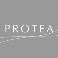 PROTEA (@protea_vrc) 's Twitter Profile Photo