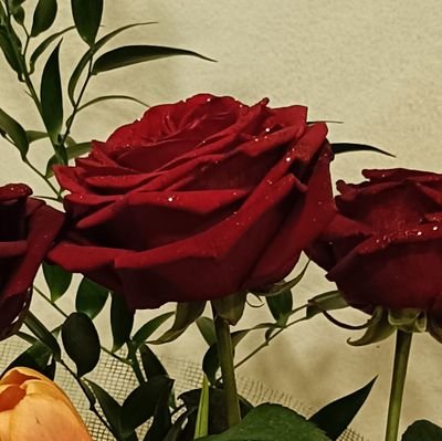 PrincipessaDiA's profile picture. come in private🌪️