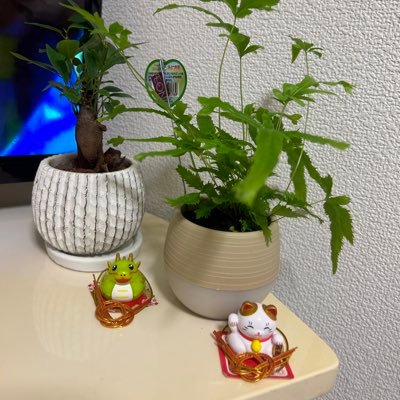 無言フォロー失礼しますm(_ _)m… 日本を憂う者として色々な情報や動画拡散してます!これ以上日本がダメになるの防ぎたいので拡散よろしくお願いします🙏ほんとに中国に日本は植民地化されますよ!日本の危機です!皆危機感持って〜