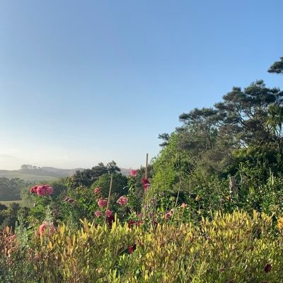 JamieJones90210's profile picture. Scandinavian