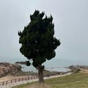 Maxwell Julian - @MaxwellJulian19 - Twitter