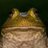 ITAPEPE210's profile image