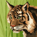 Bharat Kumar (@bharatkuma60) Twitter profile photo Bharat Kumar (@bharatkuma60) Twitter profile photo