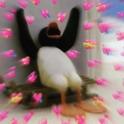 wtflaloo's profile picture. 🧡