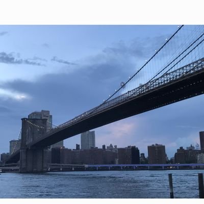 ismaelarenassa2's profile picture. just another soul on this earth .will give the benefit of the doubt to stuff #wheelchairuser #travels #food #coffee#nj#ny#dontbuycontent#SCI