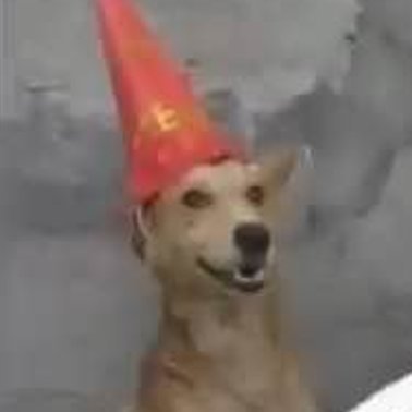 swordtheidiot's profile picture. Hi, my name is Sword and i like to play and draw.