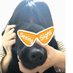 89933.bnb 🧡sign🧡 (@zhu07222) Twitter profile photo 89933.bnb 🧡sign🧡 (@zhu07222) Twitter profile photo