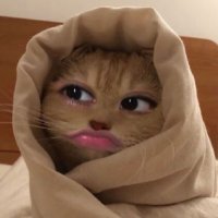 lushcious (@lattematchacha) 's Twitter Profile