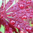 Mark Fussell - @MarkFussell2 - Twitter