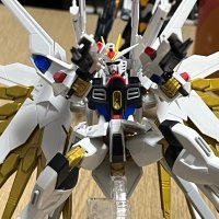 ネル菊 (@vb1mr82dlpvydb1) 's Twitter Profile