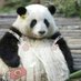 หมูกระทะติดแกลม✮𓂂⋆📼⋆.˚🎧⋆⑅ (@pandaunai) Twitter profile photo หมูกระทะติดแกลม✮𓂂⋆📼⋆.˚🎧⋆⑅ (@pandaunai) Twitter profile photo