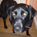 Peter Golding - @GoldingPeter - Twitter