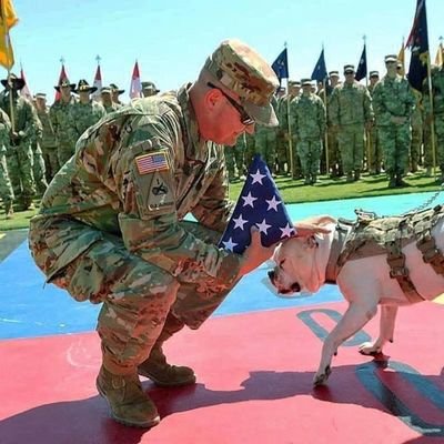 US Army 🪖 My Service to God and Humanity 💪 God bless the United States of America 🇺🇸 love humanity, animal and nature, God fearing.