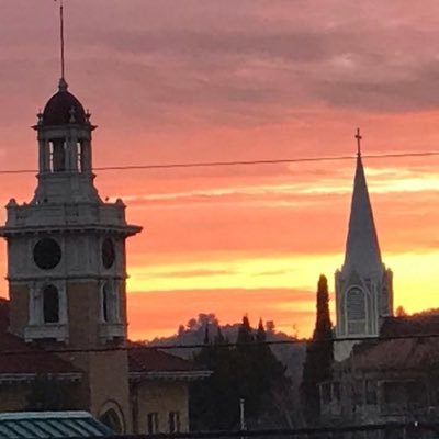 damewold's profile picture.