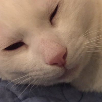 NEk5vvuszl32538's profile picture. 日本が幸せになる事願ってます！無言フォロー失礼します😶😗 暗号資産初心者（なかなか勉強進まず）デイトレ歴2〜３年位だけど今またお休み中。30年位保有してる株あり😀プランター野菜作り(๑･̑◡･̑๑)