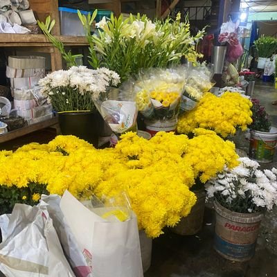 TheRedStone16's profile picture. 