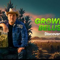 Belushi’s farm (@jimbelushi90175) 's Twitter Profile