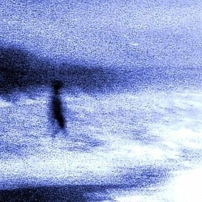 iwinuwin's profile picture.